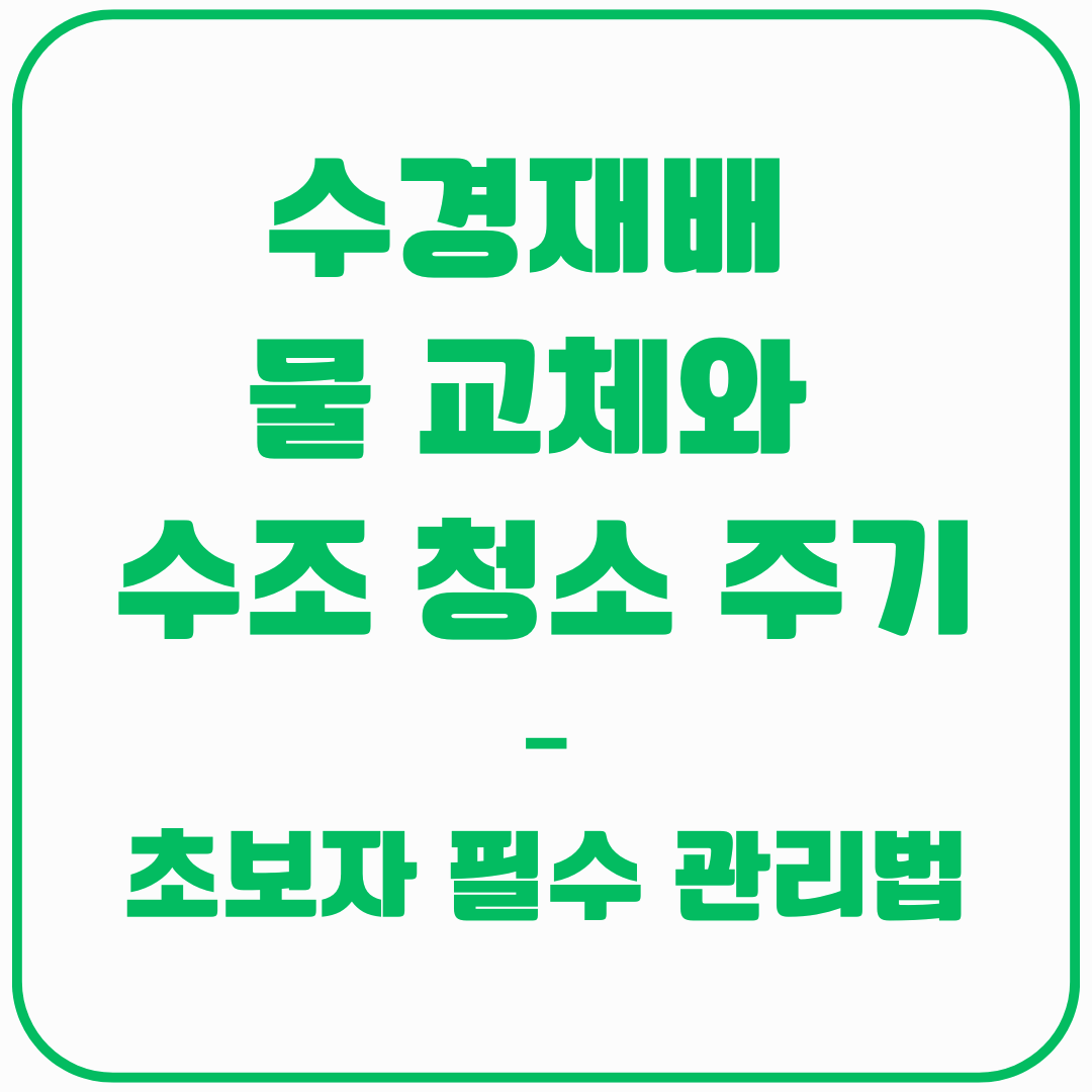 수경재배 물관리 및 청소(초보자 필수)