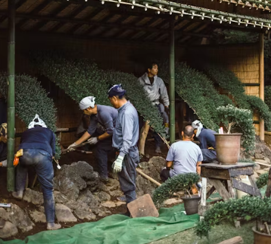 조경기능사에 대하여 알아보기