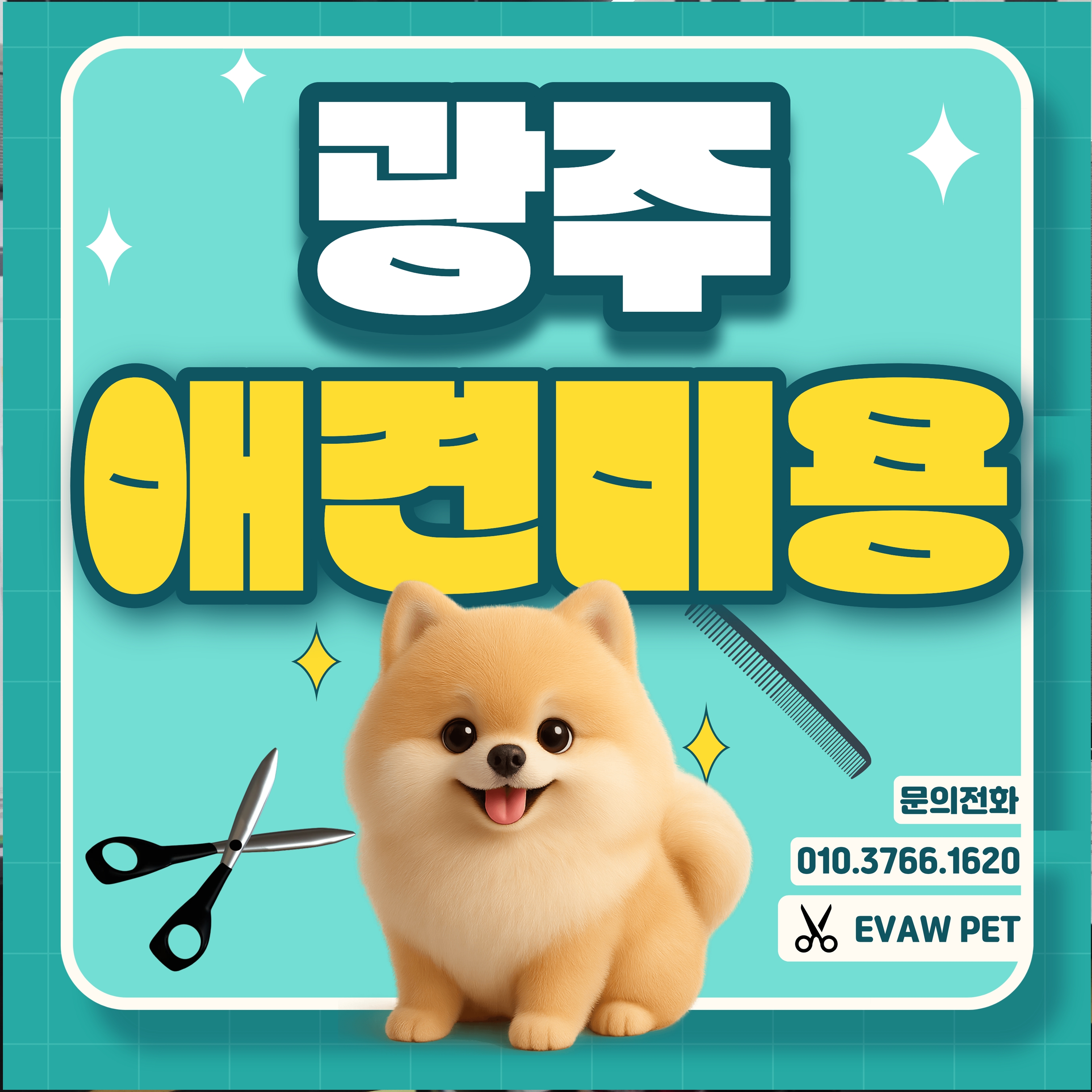 광주애견미용학원수강료