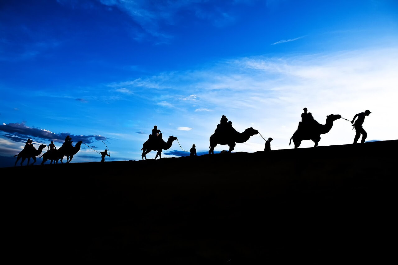 역광 촬영 시 스마트폰으로 선명한 사진 찍는 방법