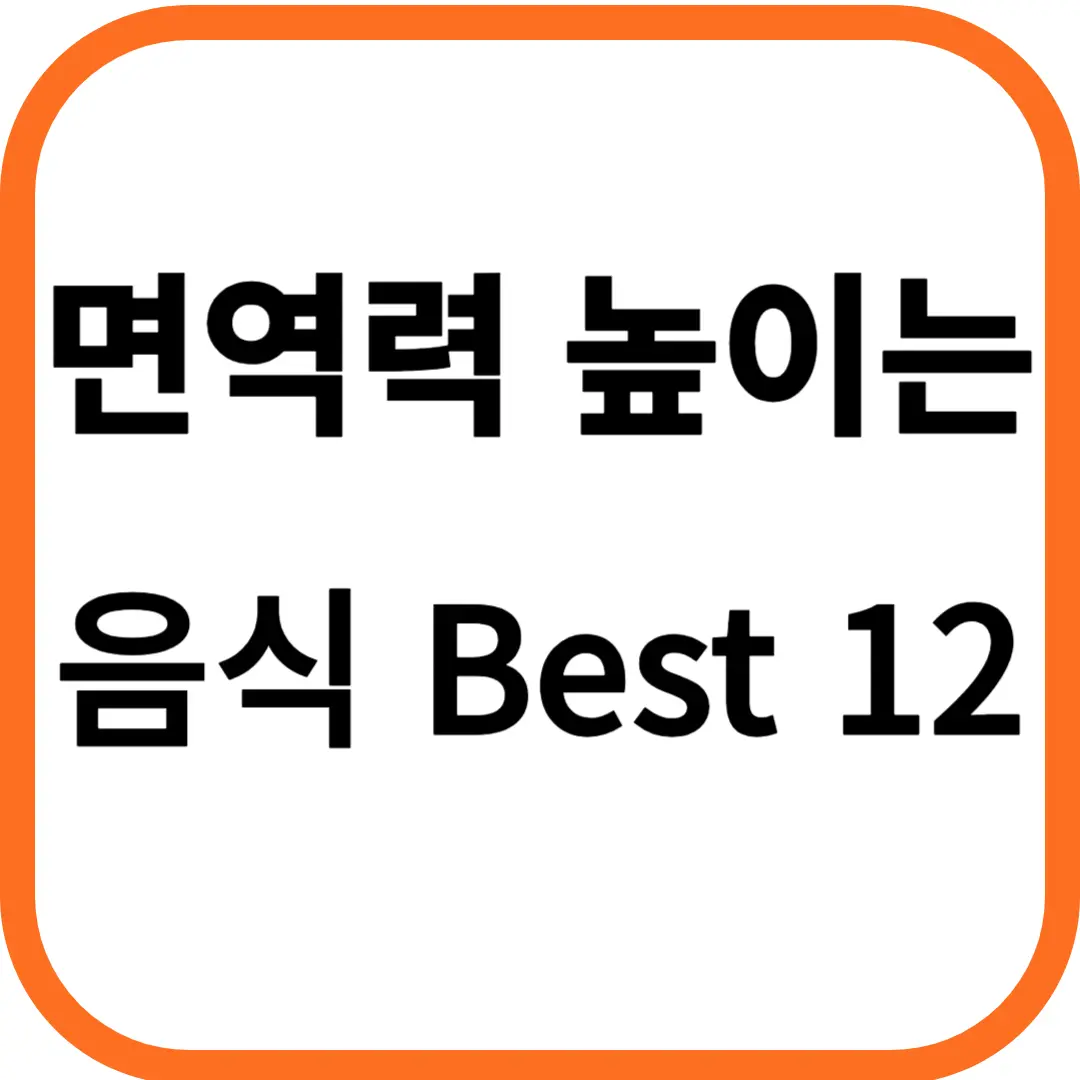 면역력 높이는 음식 Best 12