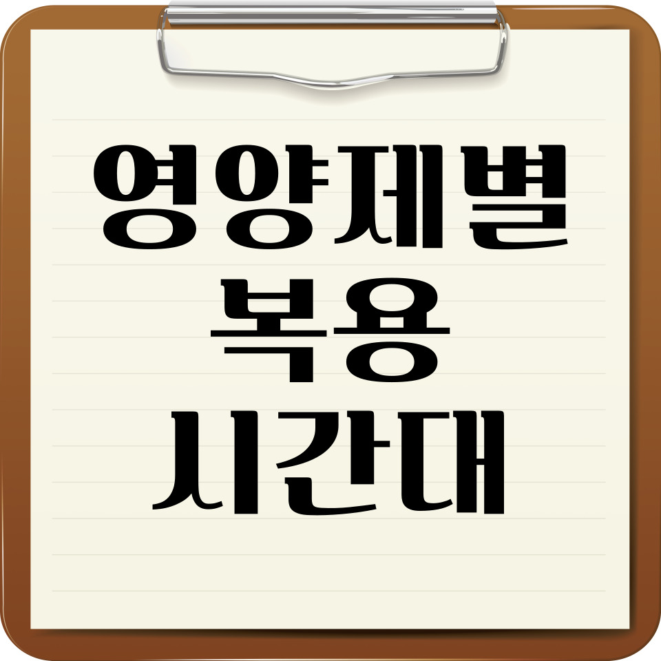 영양제별 복용 시간대