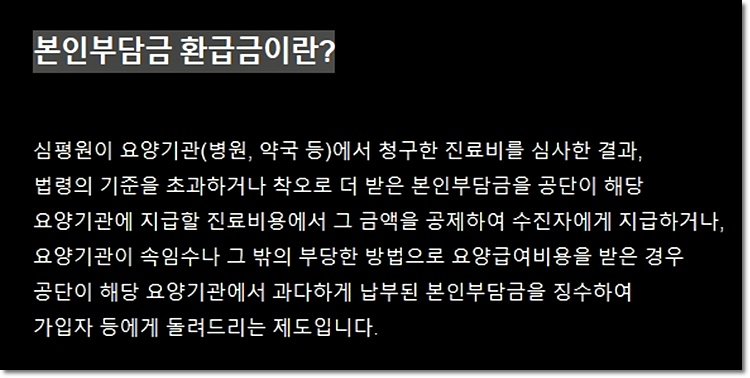 본인부담금 환급금이란?