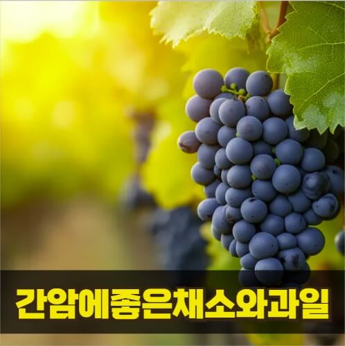 간, 면역에 좋은 포도