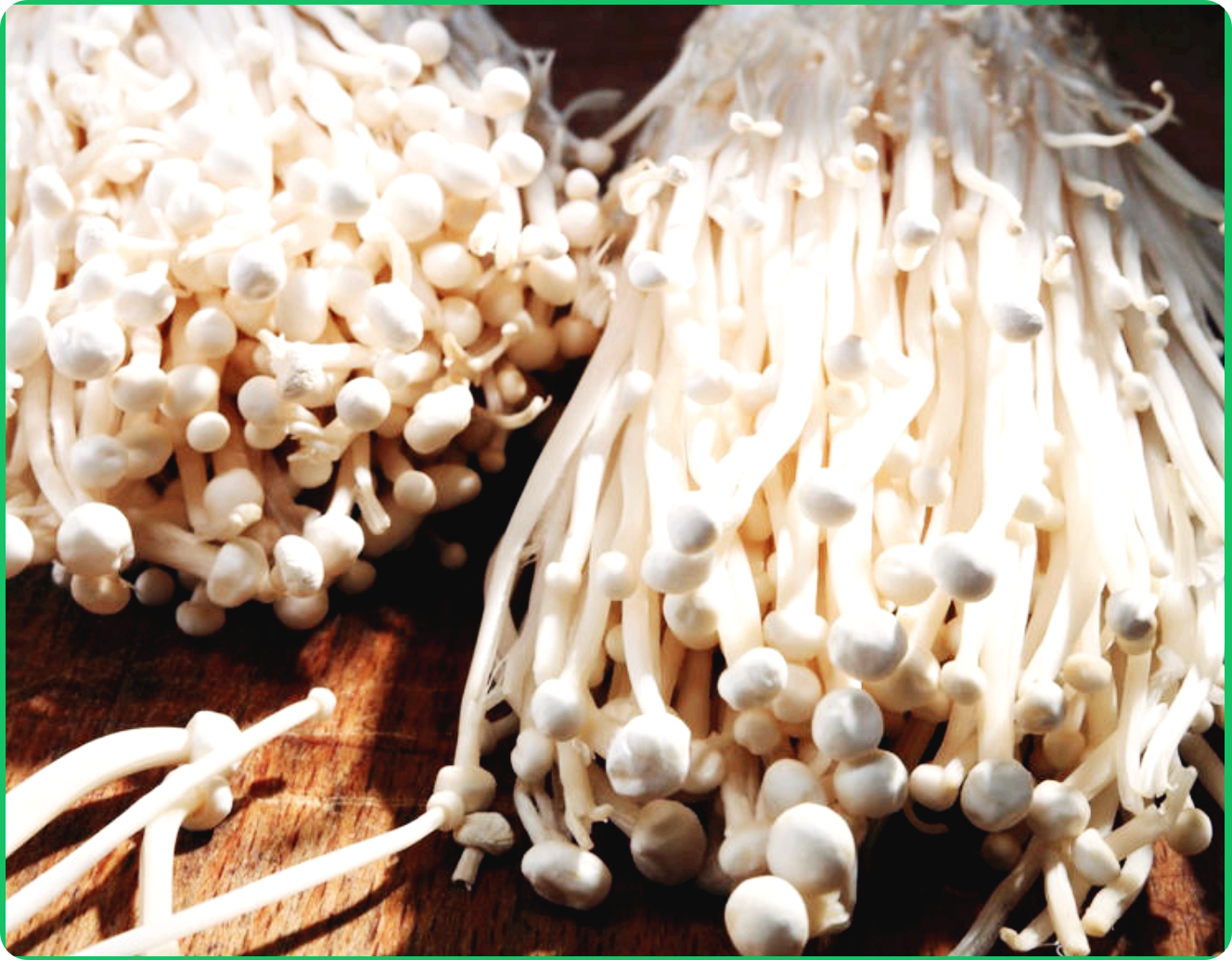 버섯 속 영양소