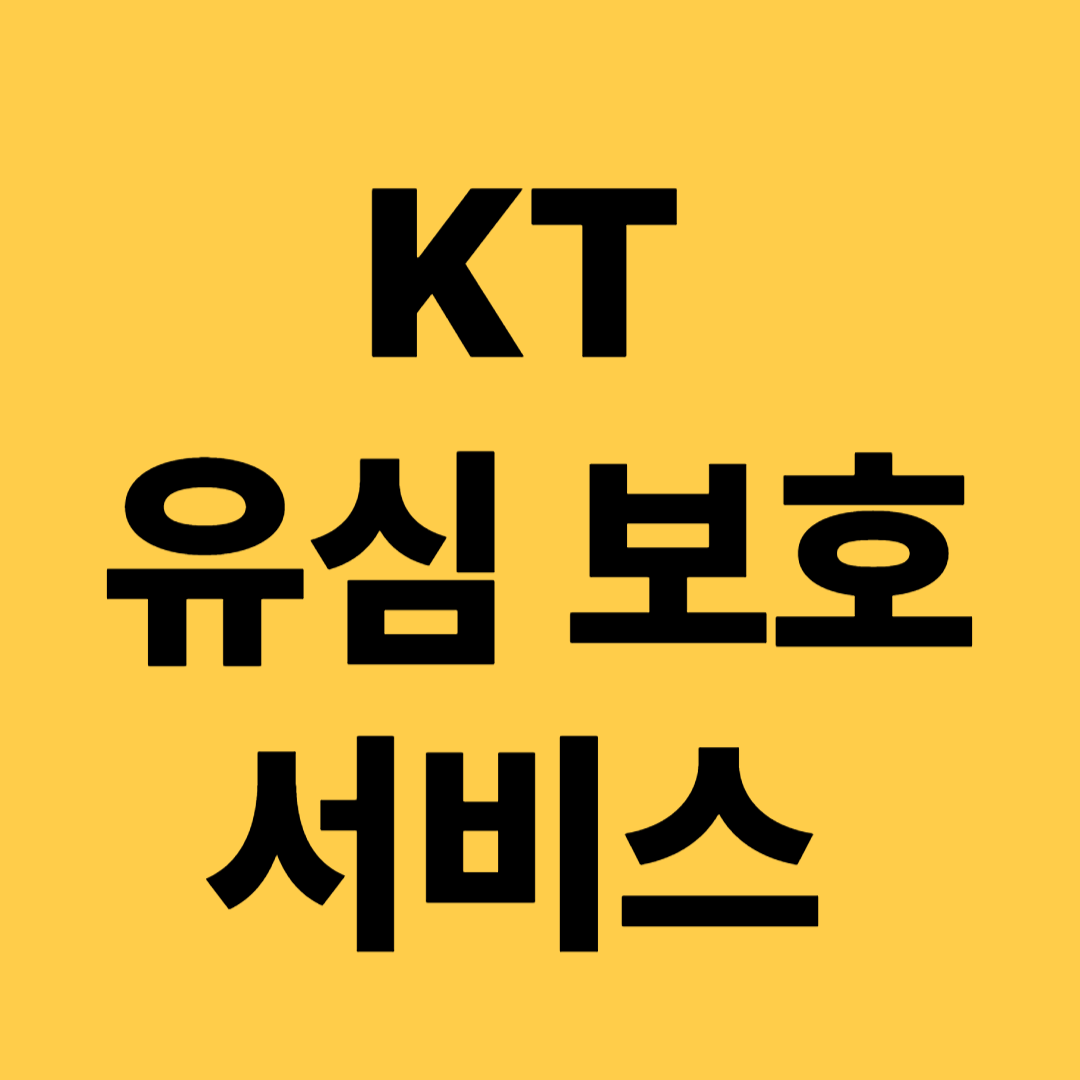 KT 유심 보호서비스
