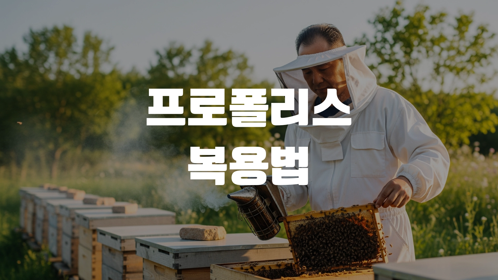 프로폴리스 복용법 포스팅 섬네일