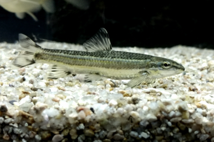 부천 자연생태공원