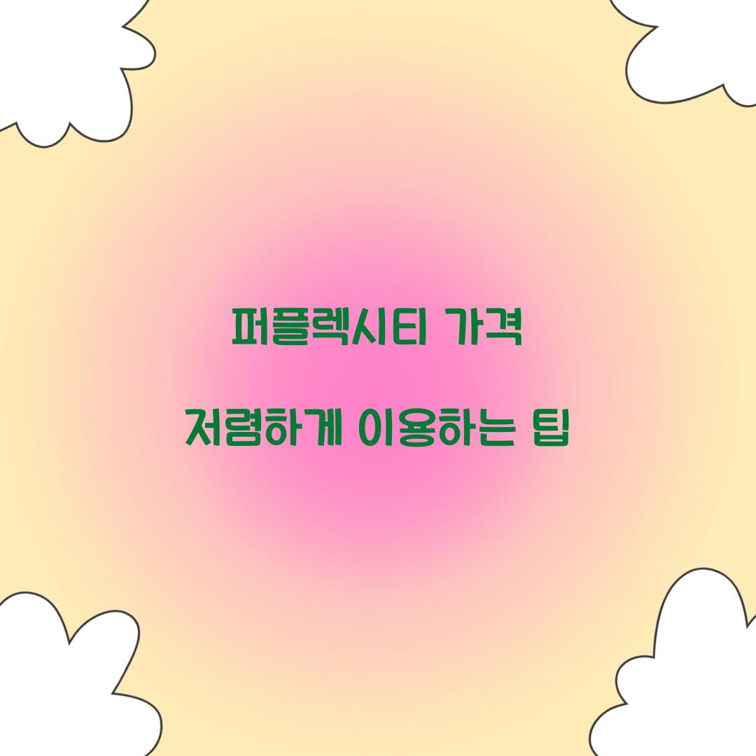 퍼플렉시티 가격