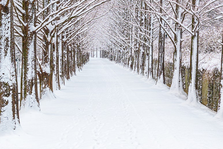가을편&middot;겨울편 발급기간 및 입실기간