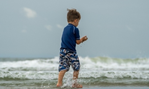 서울시 손주 돌봄수당