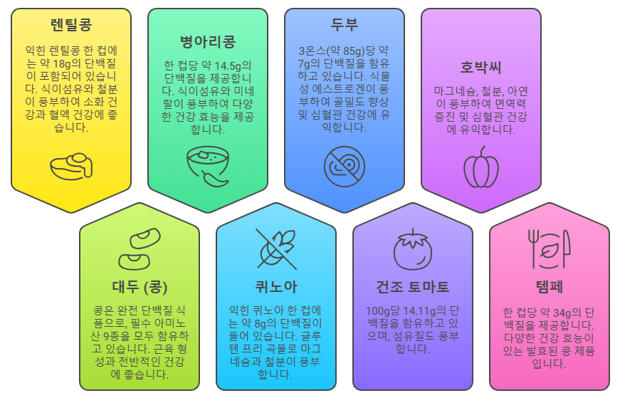 식물성 단백질 함유 음식