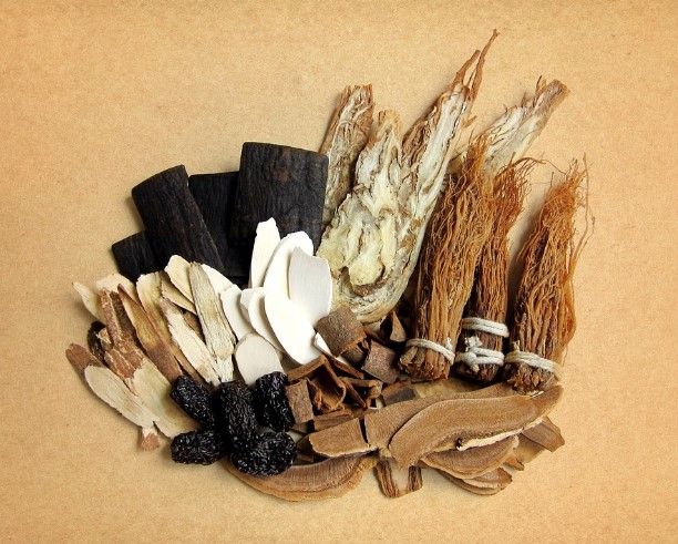 복날 삼계탕을 먹는 이유