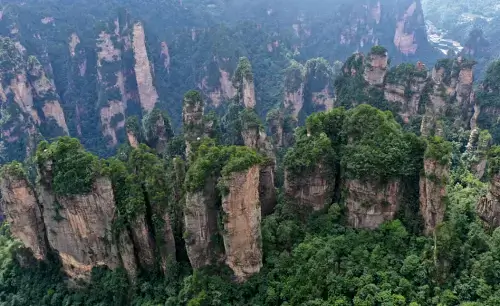 장가계-국가삼림공원-내-푸른-삼림이-가득한-황석채