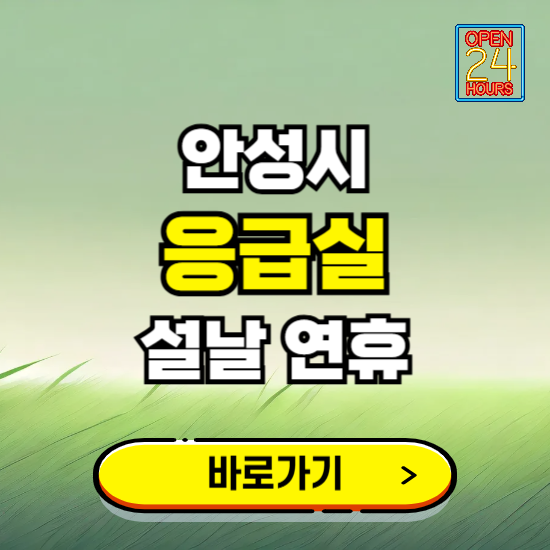 안성시 설날 연휴 비상진료 응급실 병원 찾기 ❘ 내근처 24시 야간 심야 휴일 가능한 곳