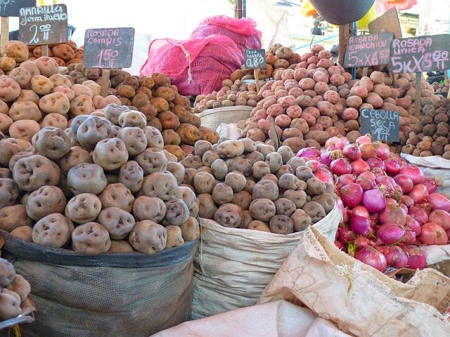 마카(Maca) 뿌리의 효능과 부작용! 천연 에너지 부스터의 진실