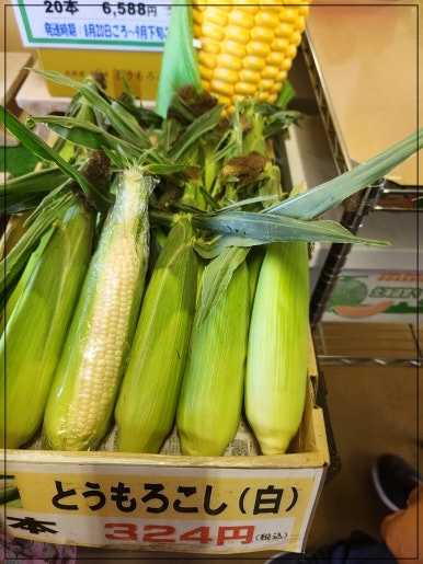 삿포로-비에이-투어-청의호수-사계채의언덕-3