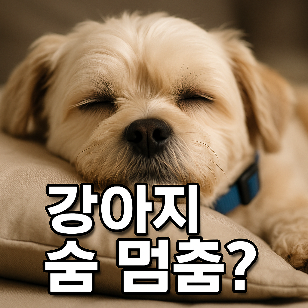 강아지 숨멈춤? 실사형 이미지