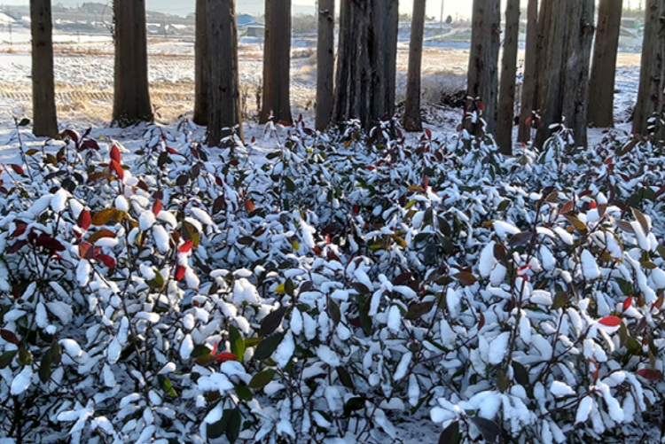 익산 아가페정원