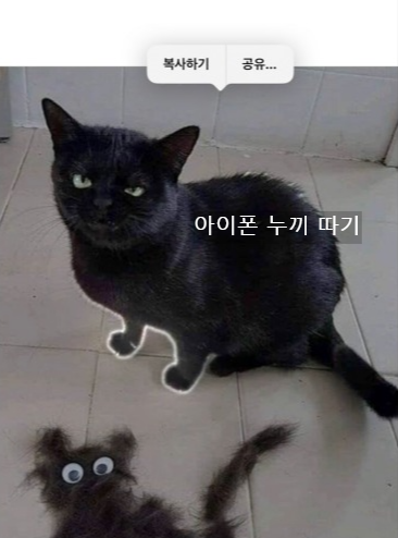 아이폰 누끼 따는 방법