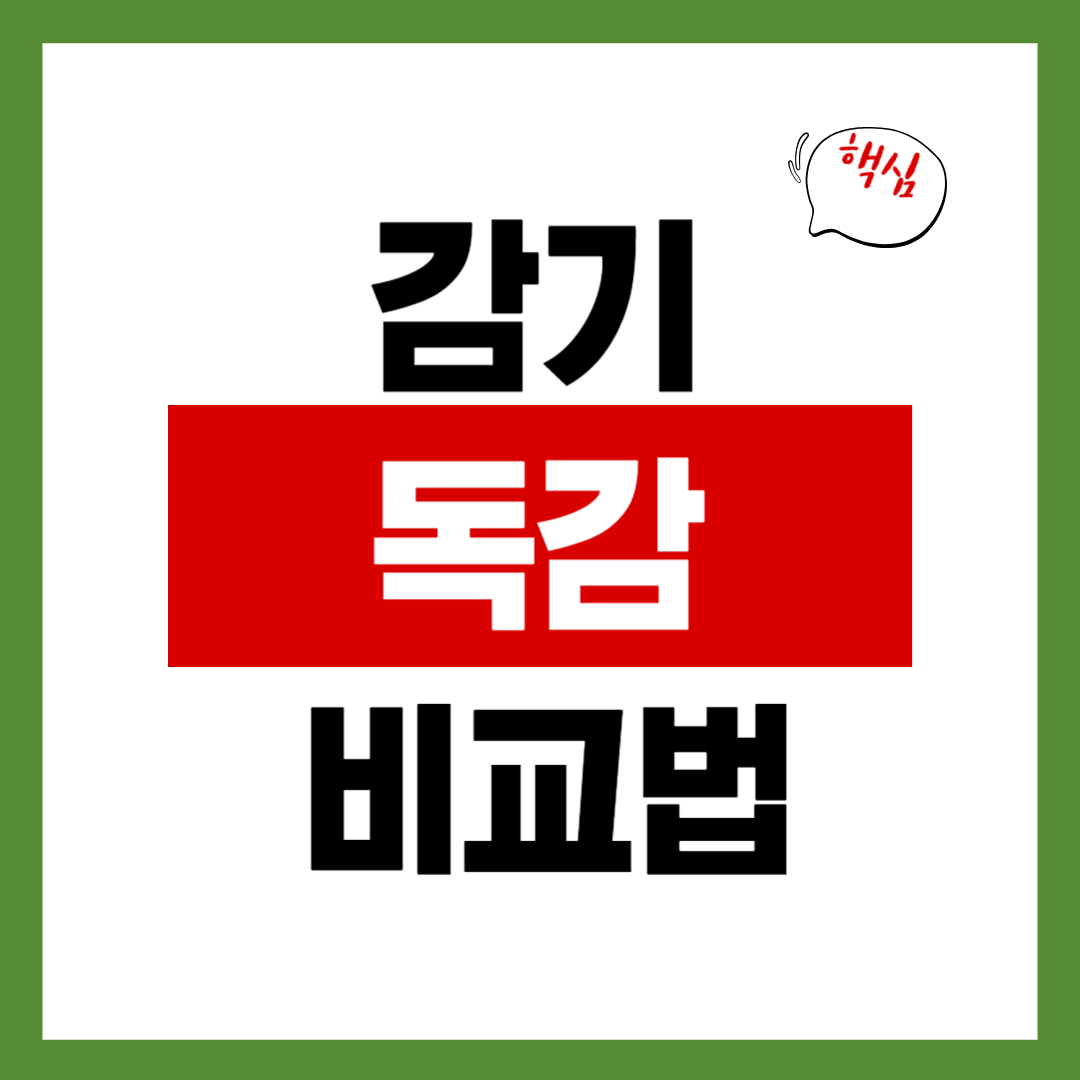 독감 증상·기간·약 종류 한 번에 정리