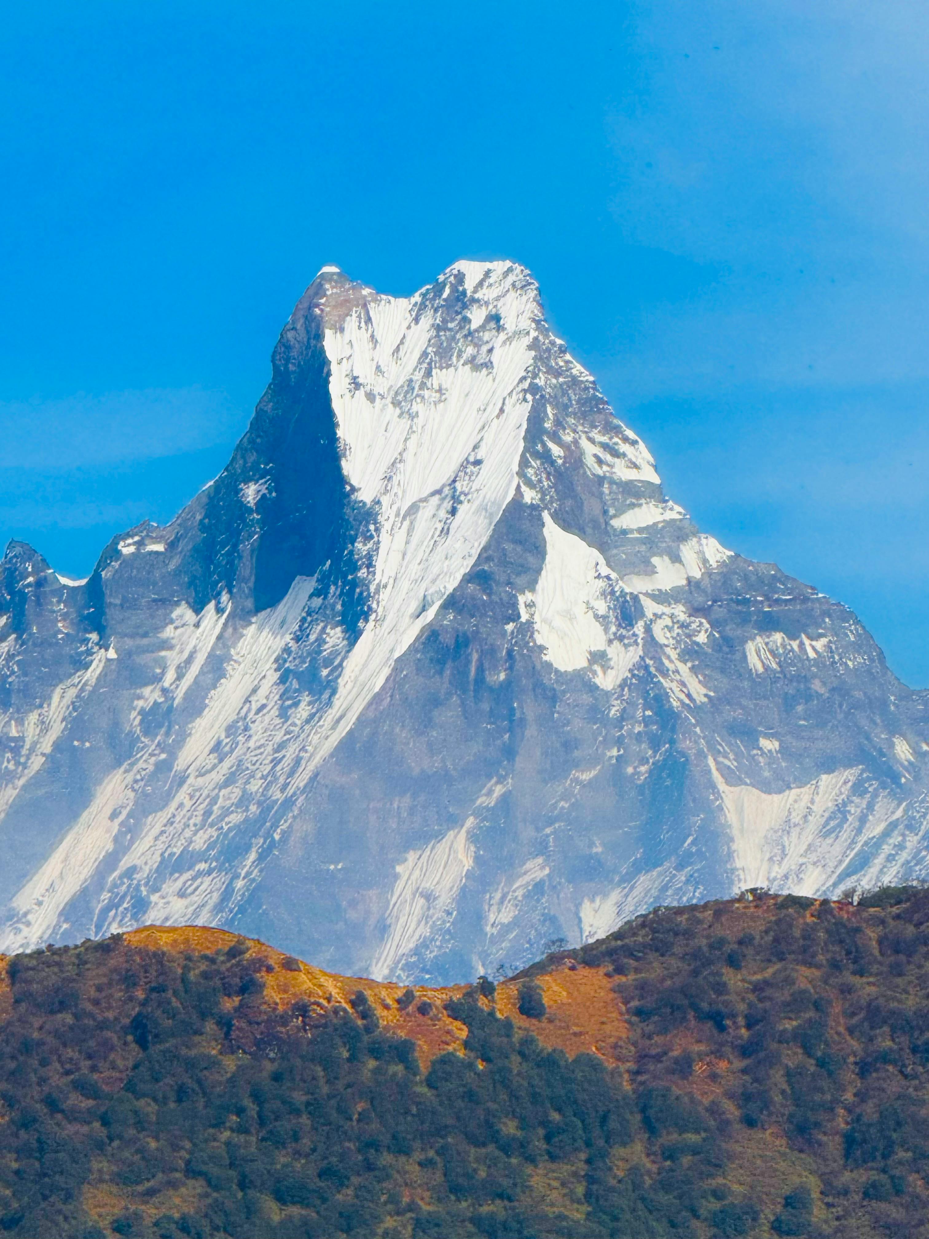 태어난 김에 시즌4