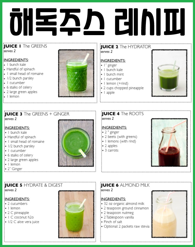 해독주스 레시피