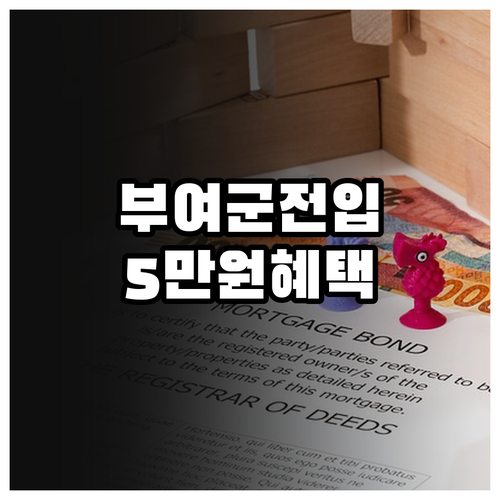 2025 부여군 전입자를 위한 특별한..