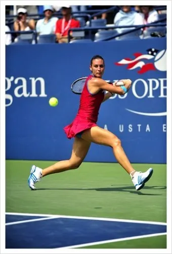 us오픈테니스대회 우승상금 대진표 중계 조코비치 알카라스_20