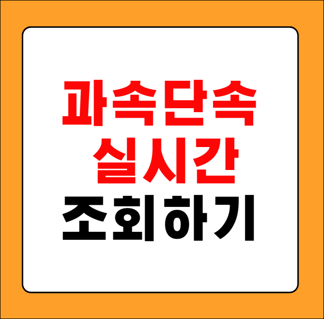 과속 단속 조회
