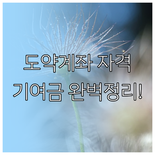 청년도약계좌 신청 자격과 소득 기준별..