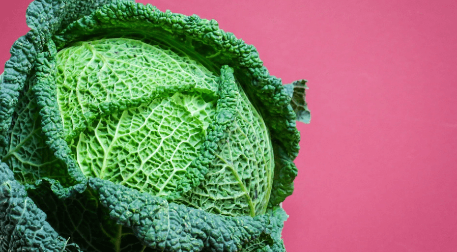 위궤양에 좋은 음식 양배추가 놓여 있다
