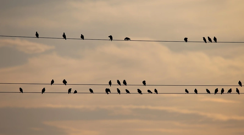 자주 묻는 질문(FAQ)