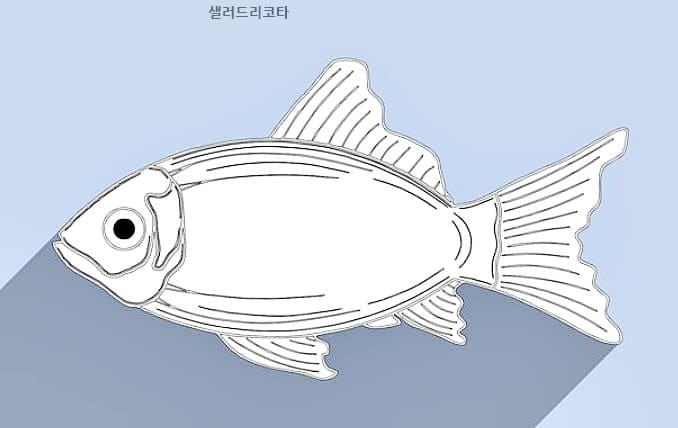 저분자콜라겐김사랑콜라겐뉴트리에버콜라겐부작용