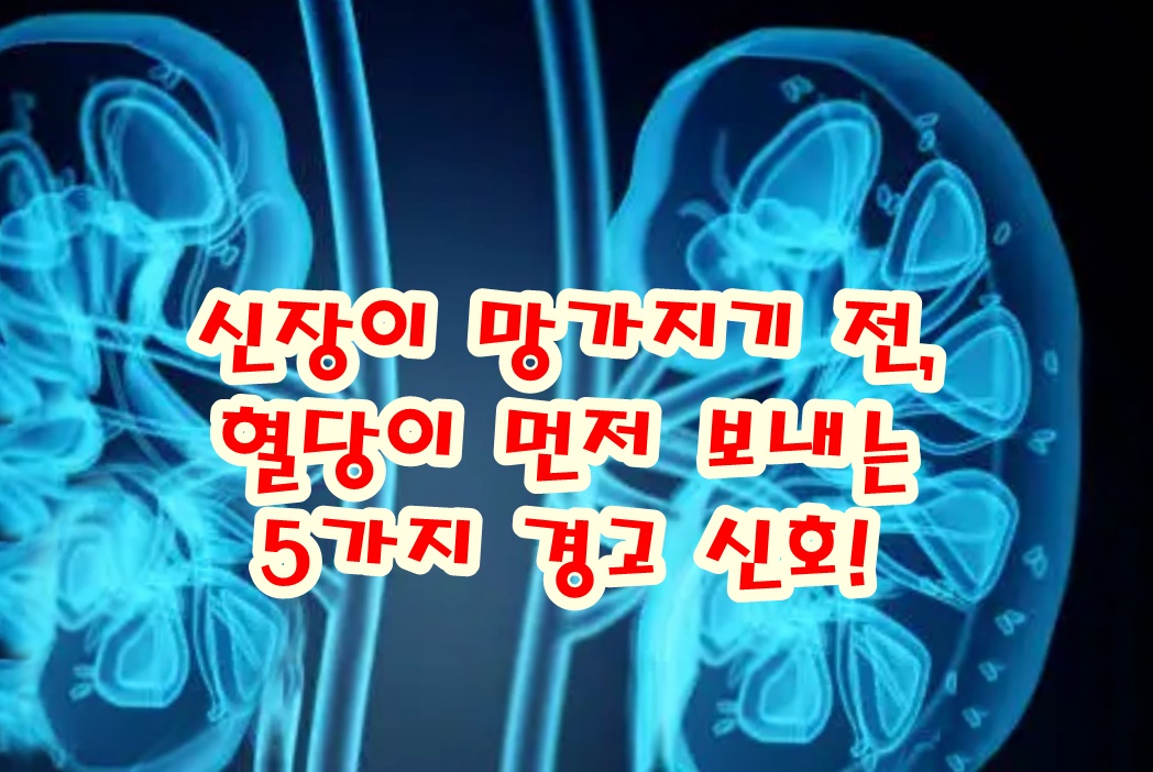 신장이 망가지기 전, 혈당이 먼저 보내는 5가지 경고 신호