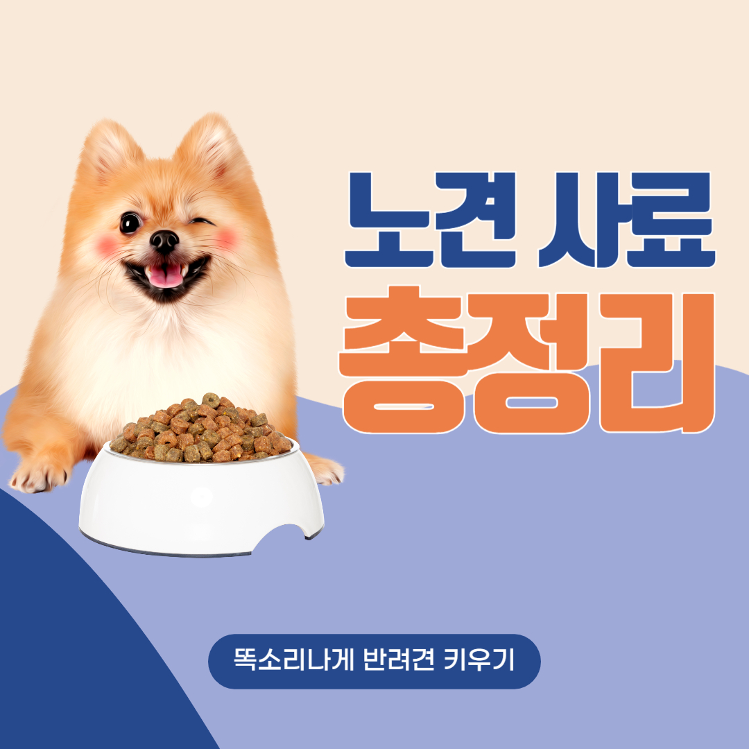노령견 사료 성분 제품 추천