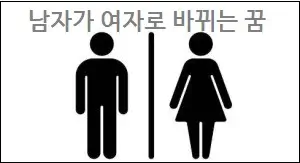 남자가 여자로 바뀌는 꿈