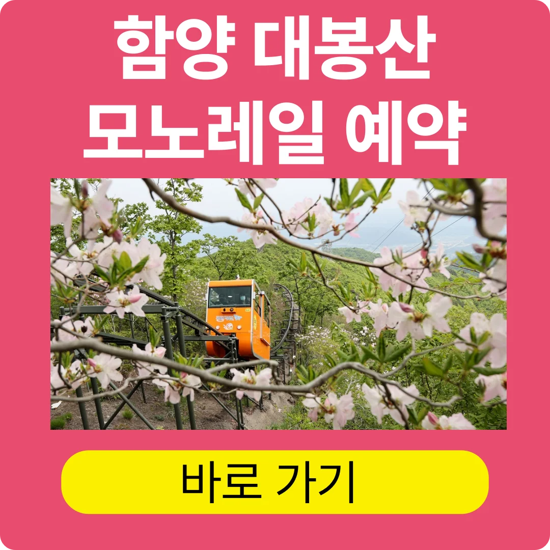 함양 대봉산 모노레일 예약 바로가기