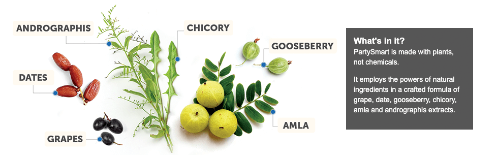 히말라야 파티스마트 성분 사진