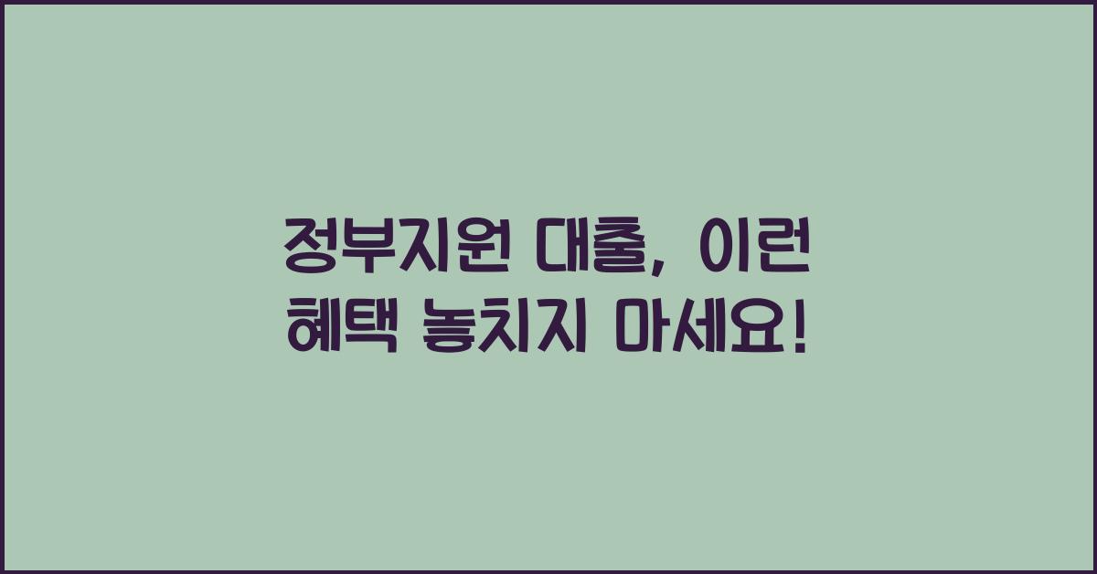 정부지원 대출