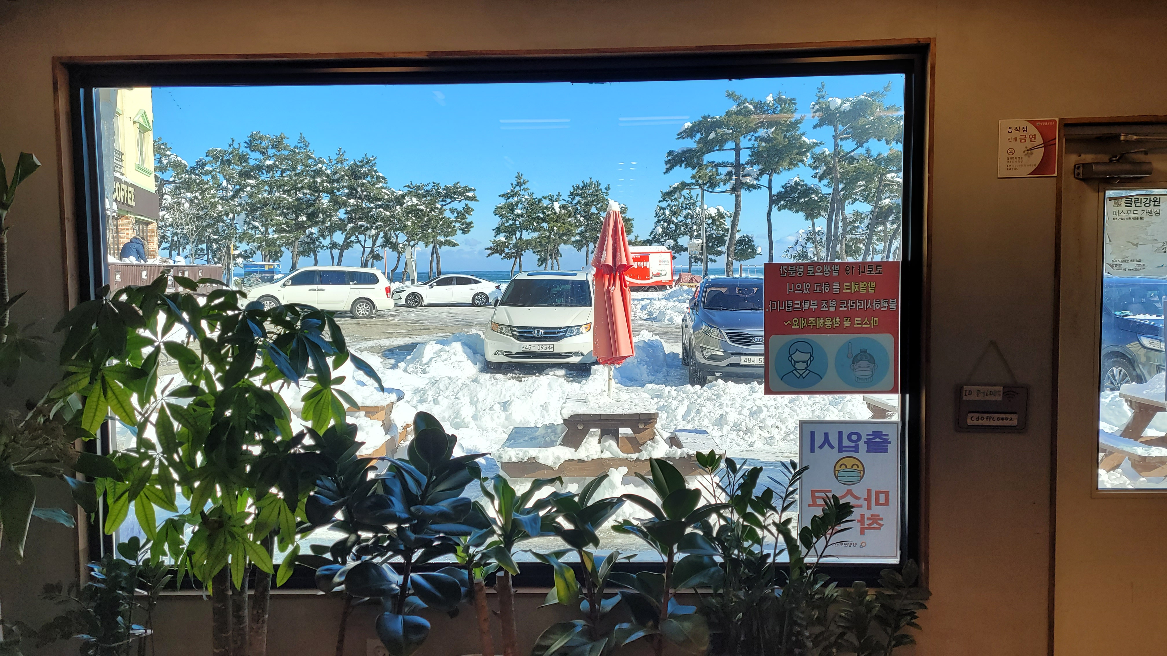 폭설이 내린 창밖