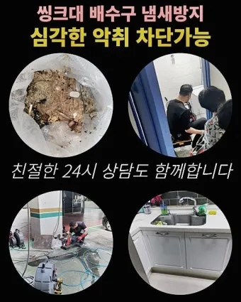 구더기 생기는 이유 방지 방법 정리_26