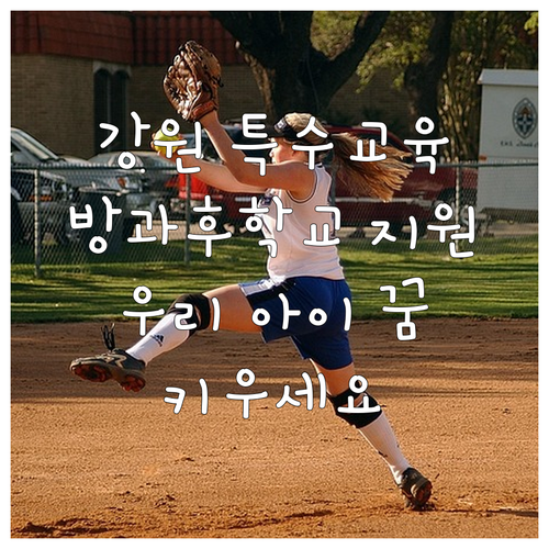 2025 강원 특수교육 방과후학교 지..