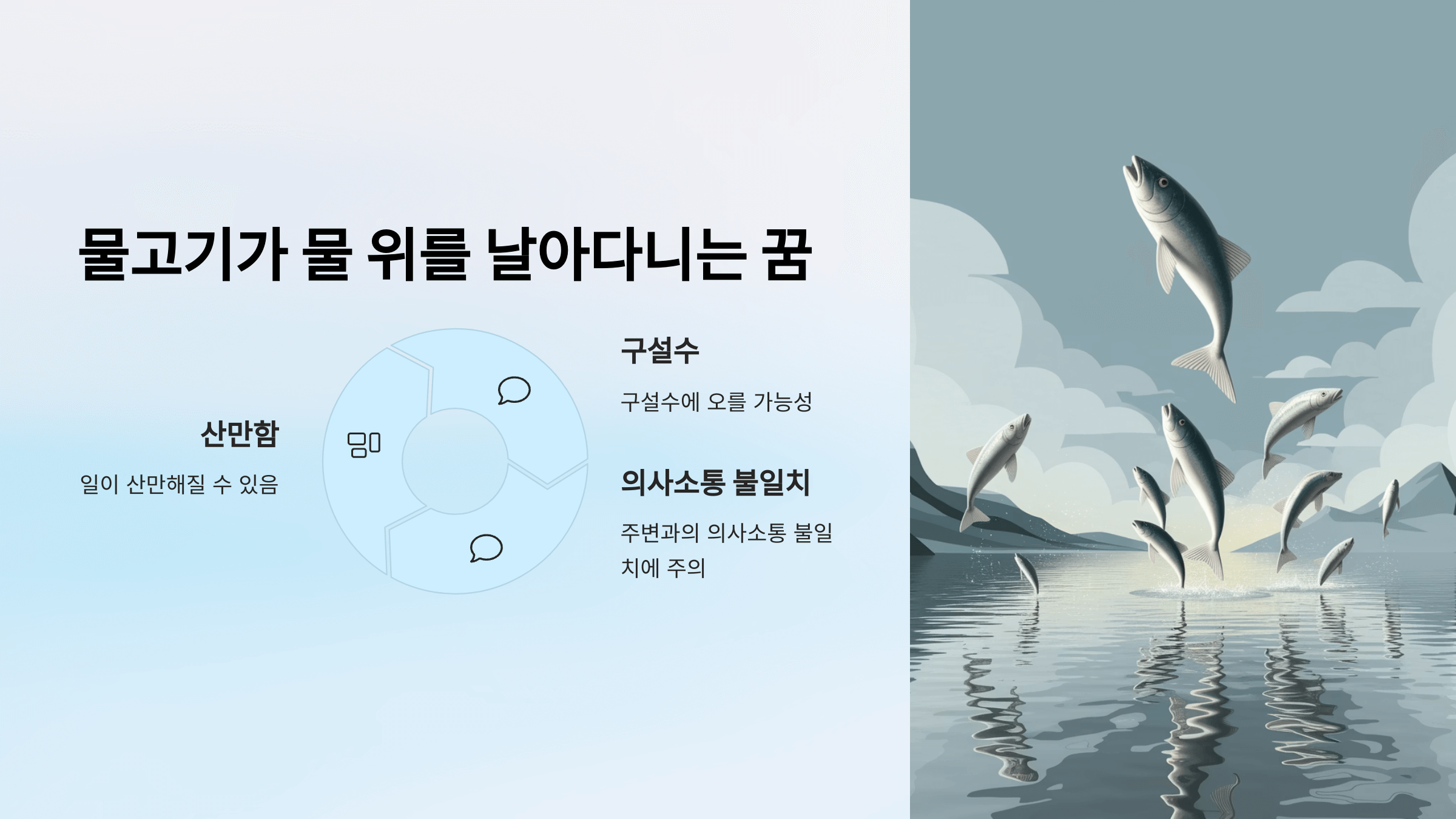 물고기 사진입니다.
