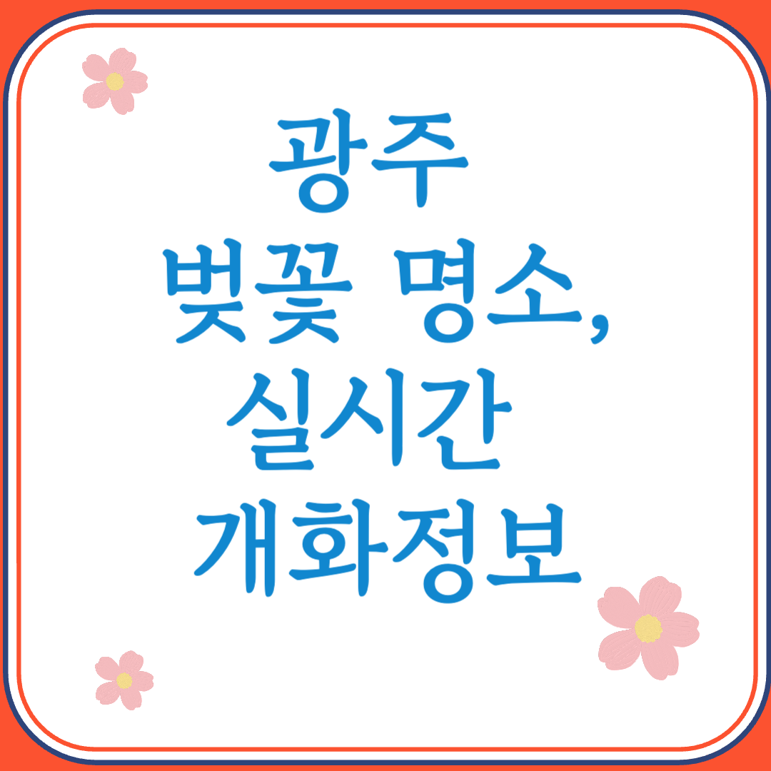 2025년 광주 벚꽃 명소 실시간 개화정보