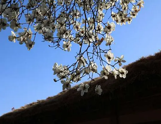 명성황후 생가