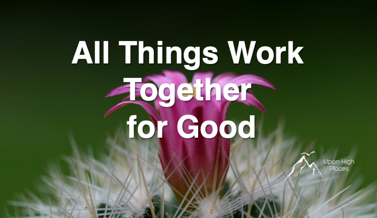 합력하여 선을 이룬다