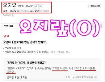 오지랖이 넓다 뜻과 영어 맞춤법 회화 단어 안내집_15
