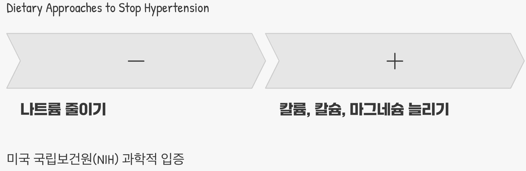 대시(DASH) 식단, 대체 무엇일까요?