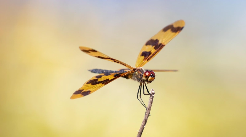 건설업계의 중요성